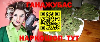 сатива Гай