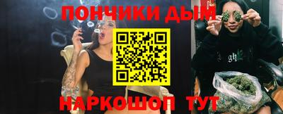 сатива Гай