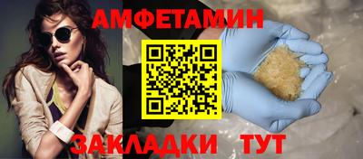 сатива Гай