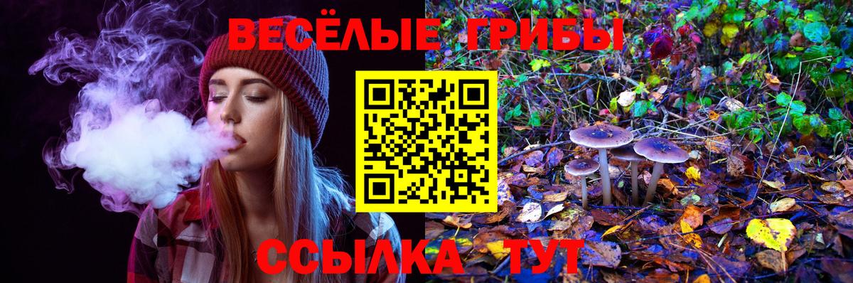 Галлюциногенные грибы мухоморы  Вход с VPN  Новоалтайск 